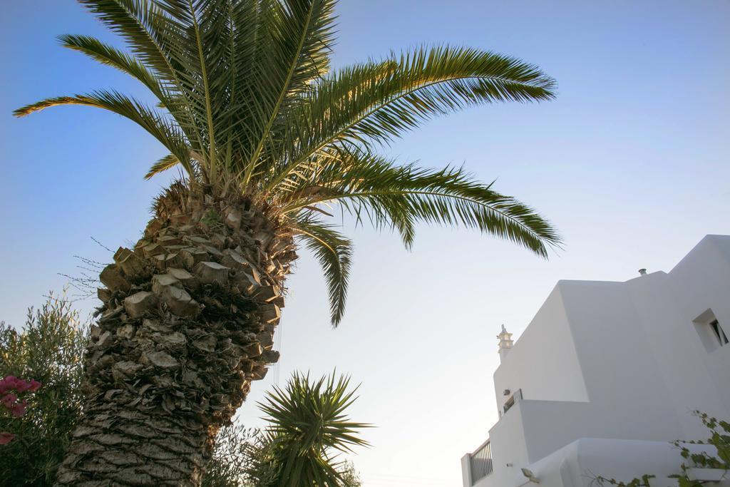 Anna-Maria Mykonos Hotel Glastros  Eksteriør billede